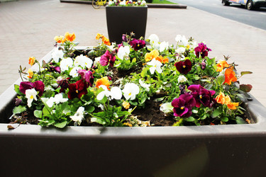 Similar image 22037917