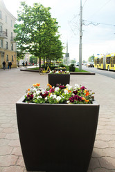 Similar image 22037918