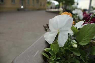 Similar image 22037919