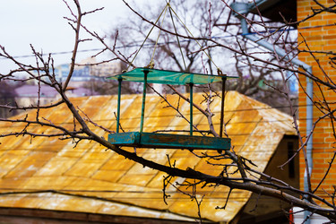 Similar image 22037003