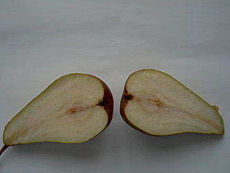 Similar image 22032695