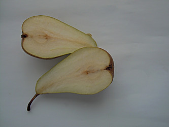 Similar image 22032696