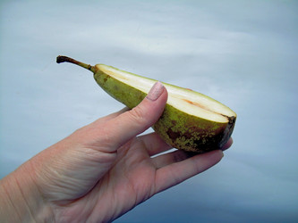 Similar image 22032697