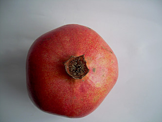 Similar image 22032707