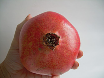 Similar image 22032708