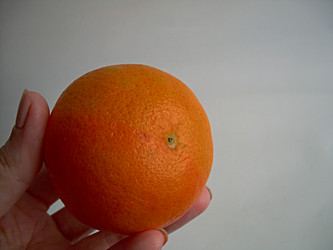 Similar image 22032709