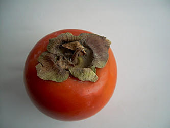 Similar image 22032710