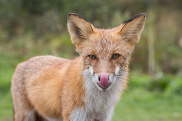 Similar image 22040833