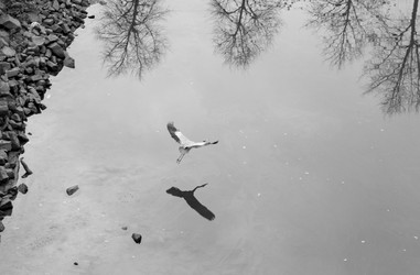 Similar image 22040834