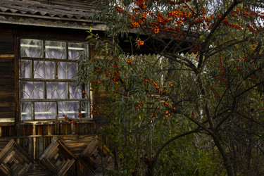 Similar image 22026710