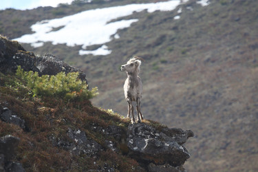 Similar image 22030757