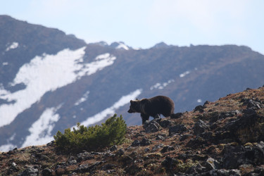 Similar image 22030758