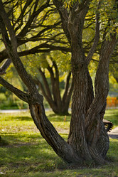 Similar image 22025438