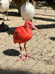 Similar image 22027827