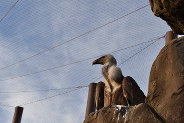 Similar image 22027831