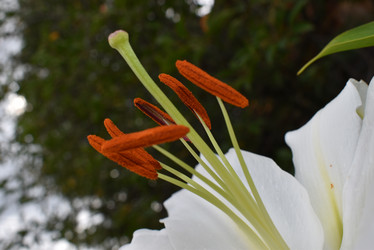 Similar image 22027844