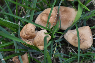 Similar image 22027845