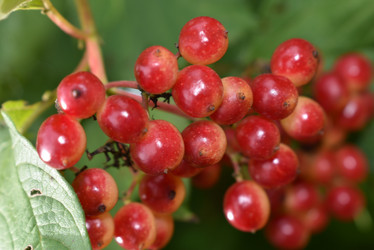 Similar image 22027846