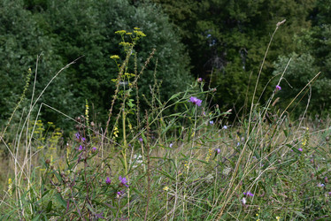 Similar image 22027847