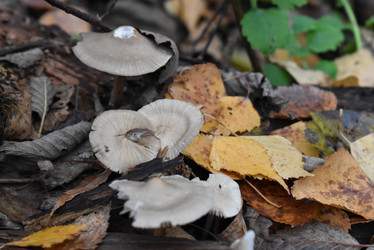 Similar image 22027848