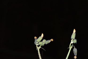 Similar image 22027849