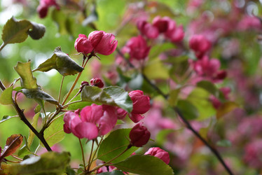 Similar image 22027850