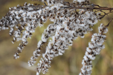 Similar image 22027804