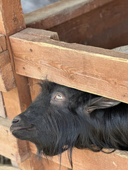 Similar image 22027805