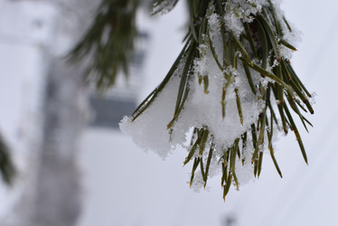 Similar image 22027806