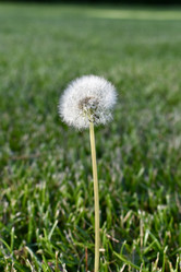 Similar image 22027808