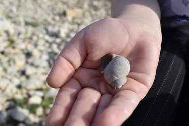 Similar image 22027809