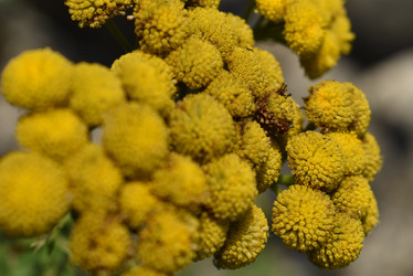 Similar image 22027810