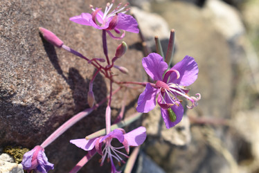 Similar image 22027811