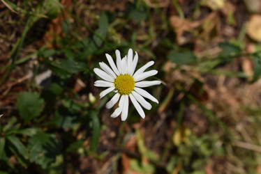 Similar image 22027812