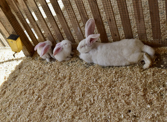 Similar image 22027813