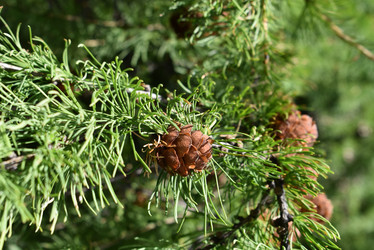 Similar image 22027814