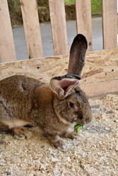 Similar image 22027816