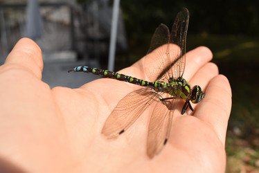 Similar image 22027817