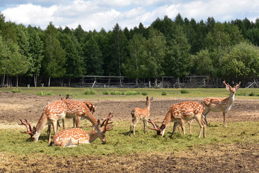 Similar image 22027818