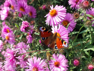 Similar image 22025445