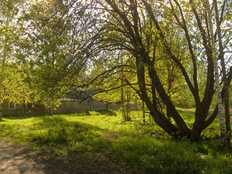 Similar image 22025446