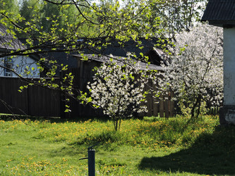 Similar image 22025449