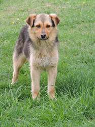 Similar image 22025450