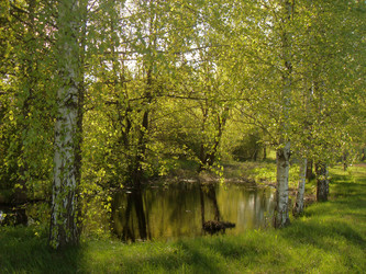 Similar image 22025459