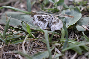 Similar image 22027834