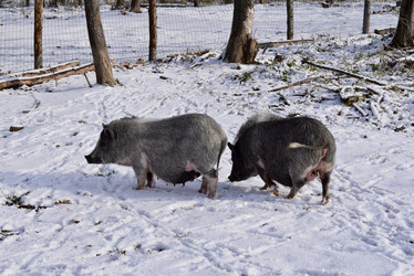 Similar image 22027835