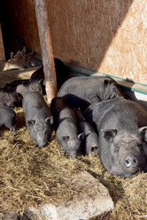 Similar image 22027836