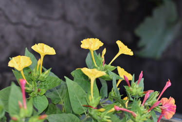 Similar image 22027837