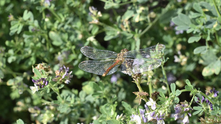 Similar image 22027838