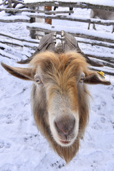 Similar image 22027839